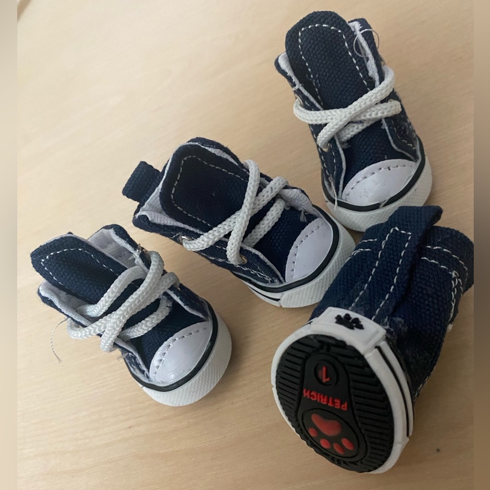 Dog Converse - Picture 2 of 2